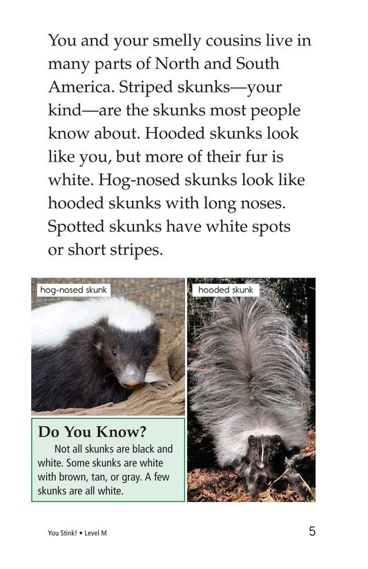 You Stink!绘本故事第4页