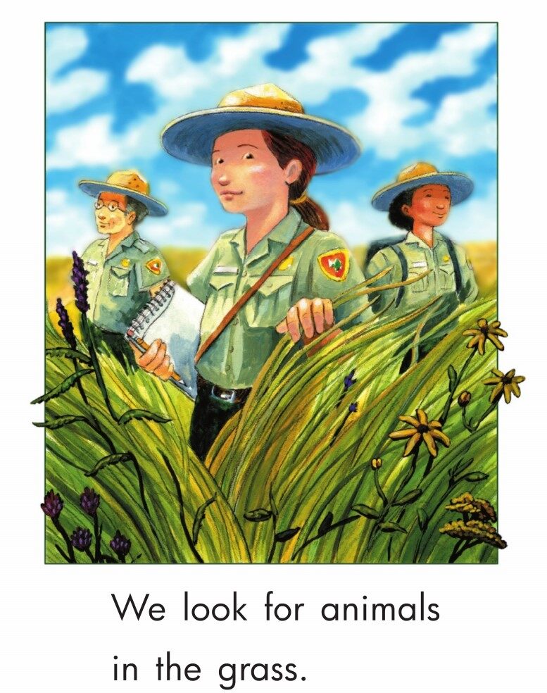 Looking for Animals绘本故事第3页