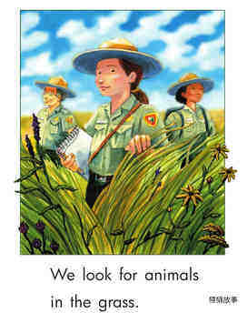 Looking for Animals绘本故事第3页
