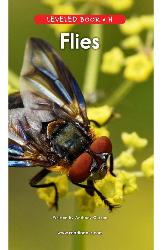 Flies绘本故事第2页