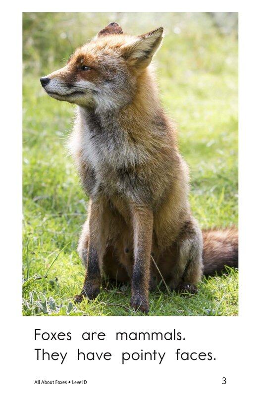 All About Foxes绘本故事第3页
