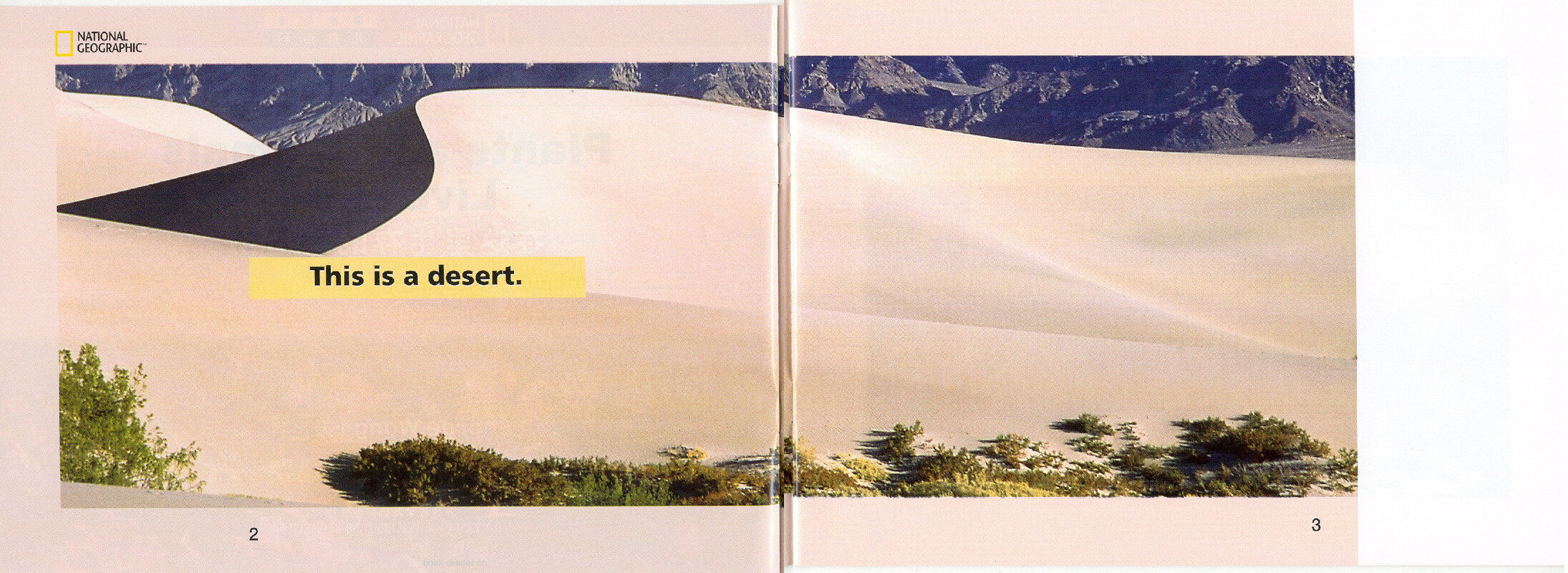 Plants and Animals Live Here绘本故事第3页