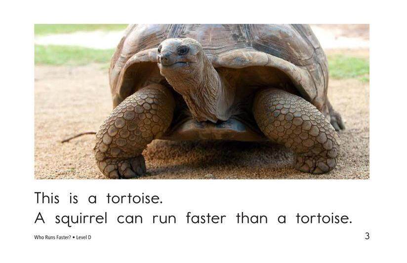 Who Runs Faster绘本故事第3页