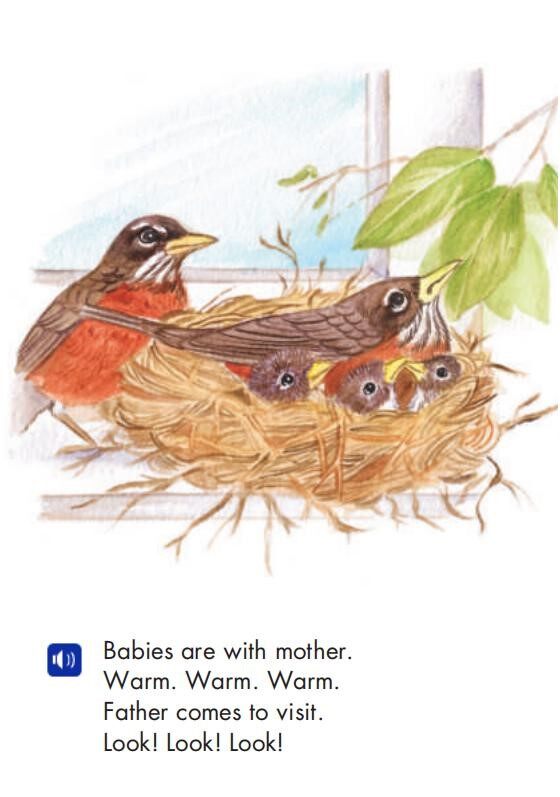 The Baby Robins绘本故事第5页