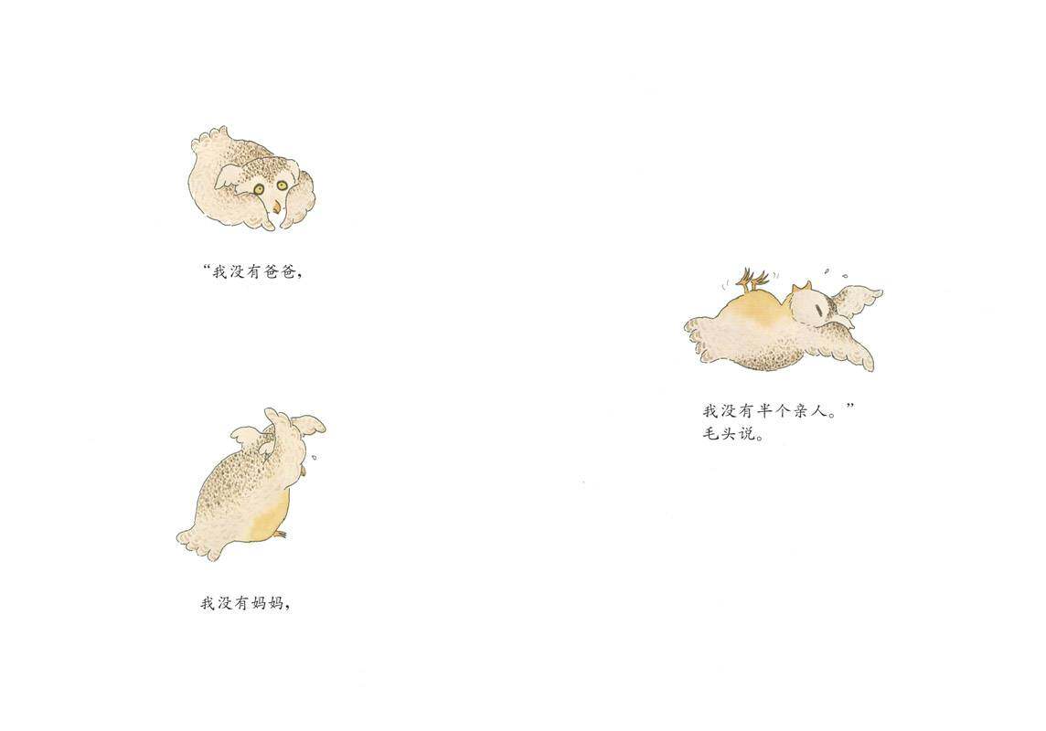 毛头小鹰绘本故事第4页