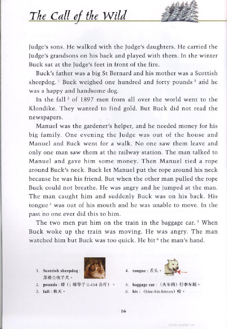The Call of the wild绘本故事第4页