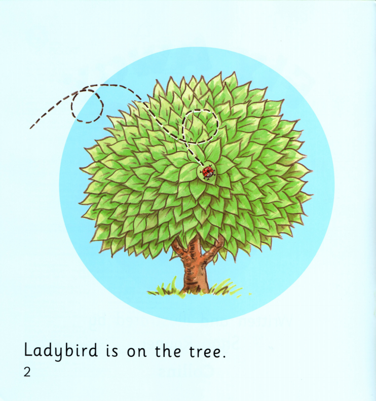 Fly Away Home绘本故事第3页