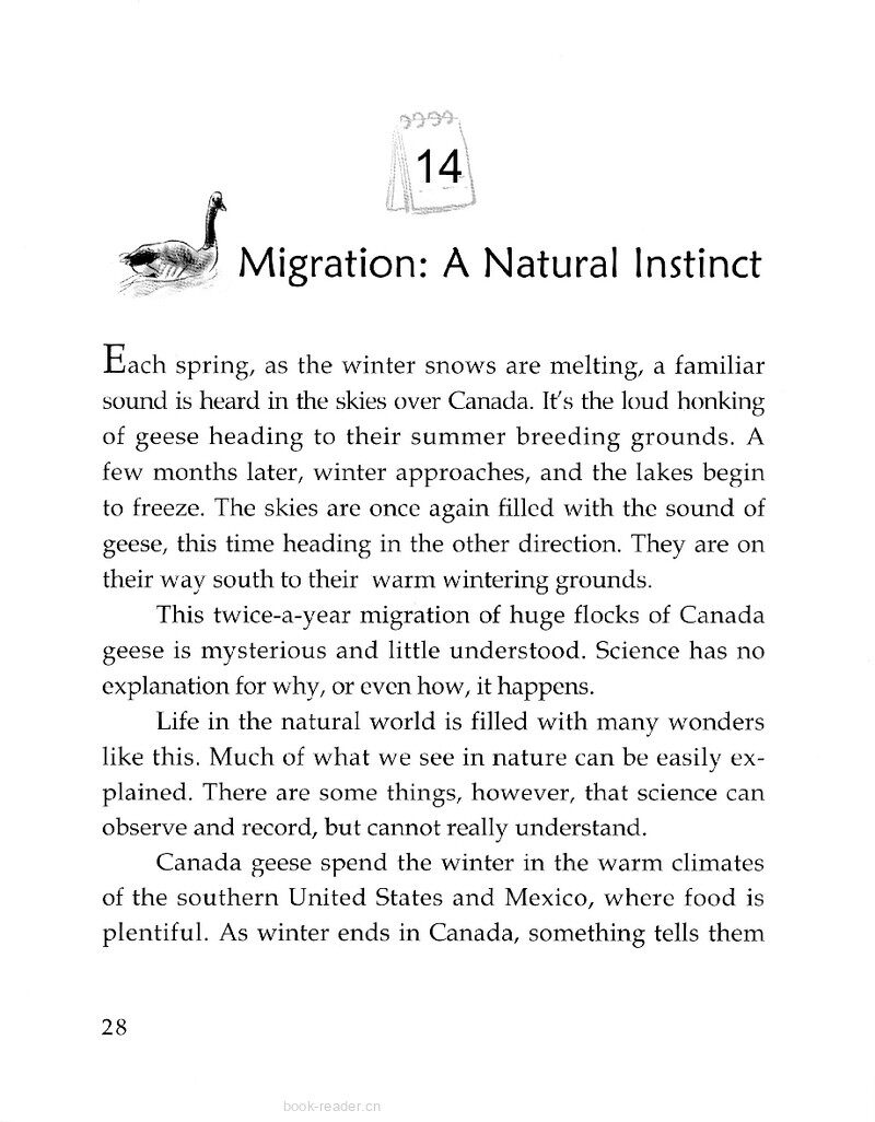 Migration: A Natural Instinct绘本故事第2页