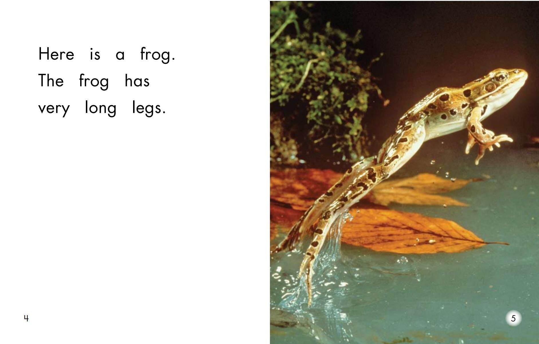 What is very long绘本故事第4页