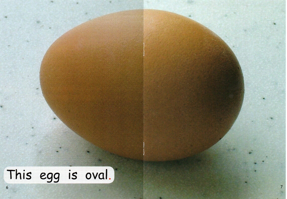 what shape is  this？绘本故事第5页