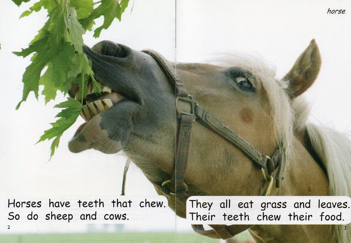 teeth绘本故事第3页