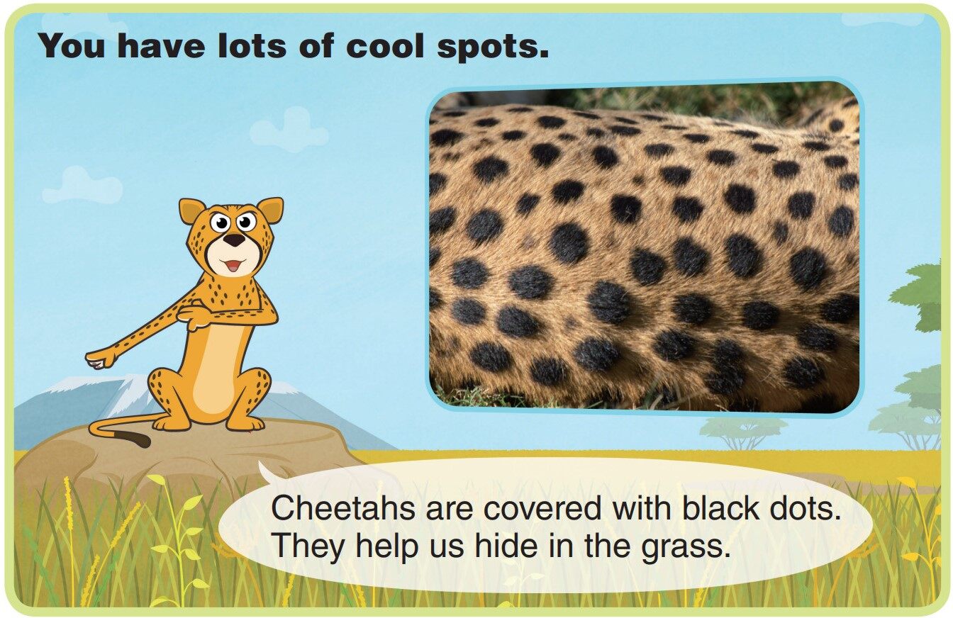 Cheetah绘本故事第5页