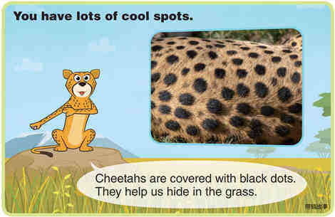 Cheetah绘本故事第5页
