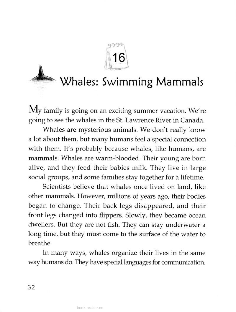 Whales: Swimming Mammals绘本故事第2页