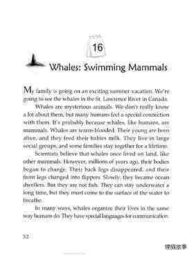Whales: Swimming Mammals绘本故事第2页