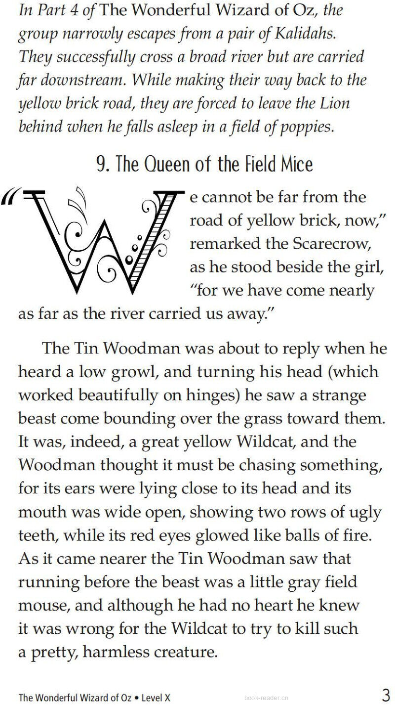 The Wonderful Wizard of Oz (Part 5)绘本故事第4页