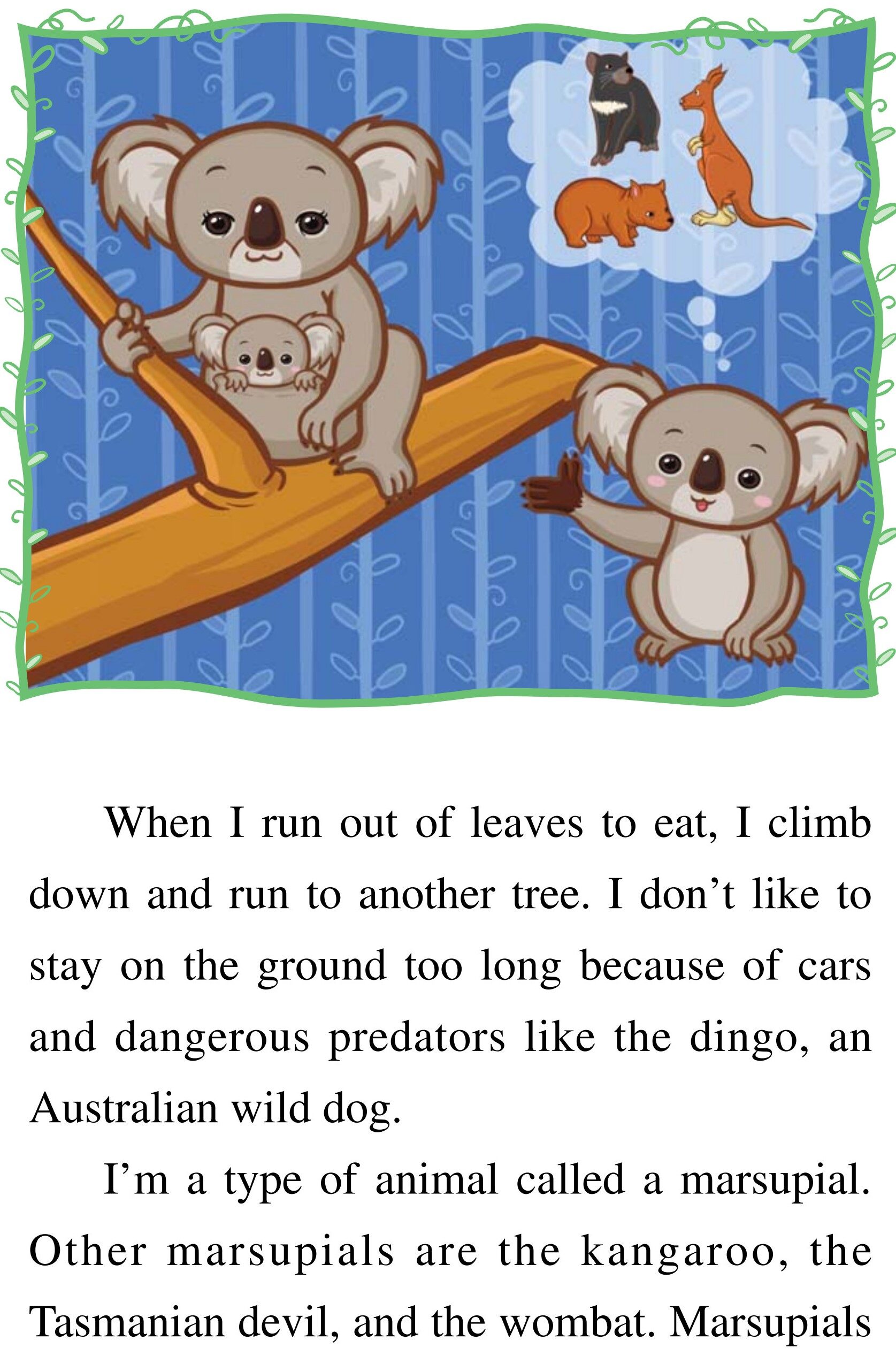 Baby Koala绘本故事第5页