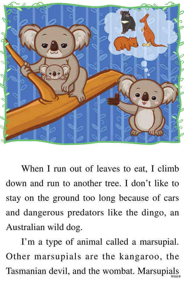 Baby Koala绘本故事第5页