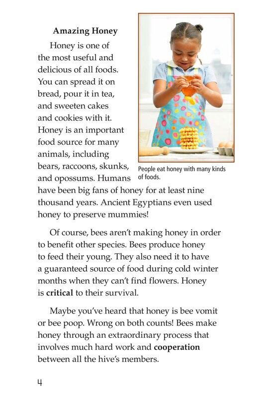 How Bees Make Honey绘本故事第3页