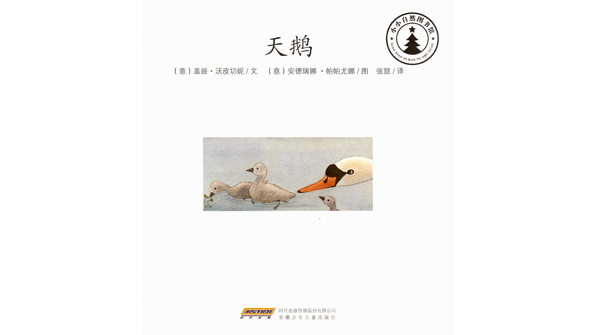 天鹅   绘本故事第2页