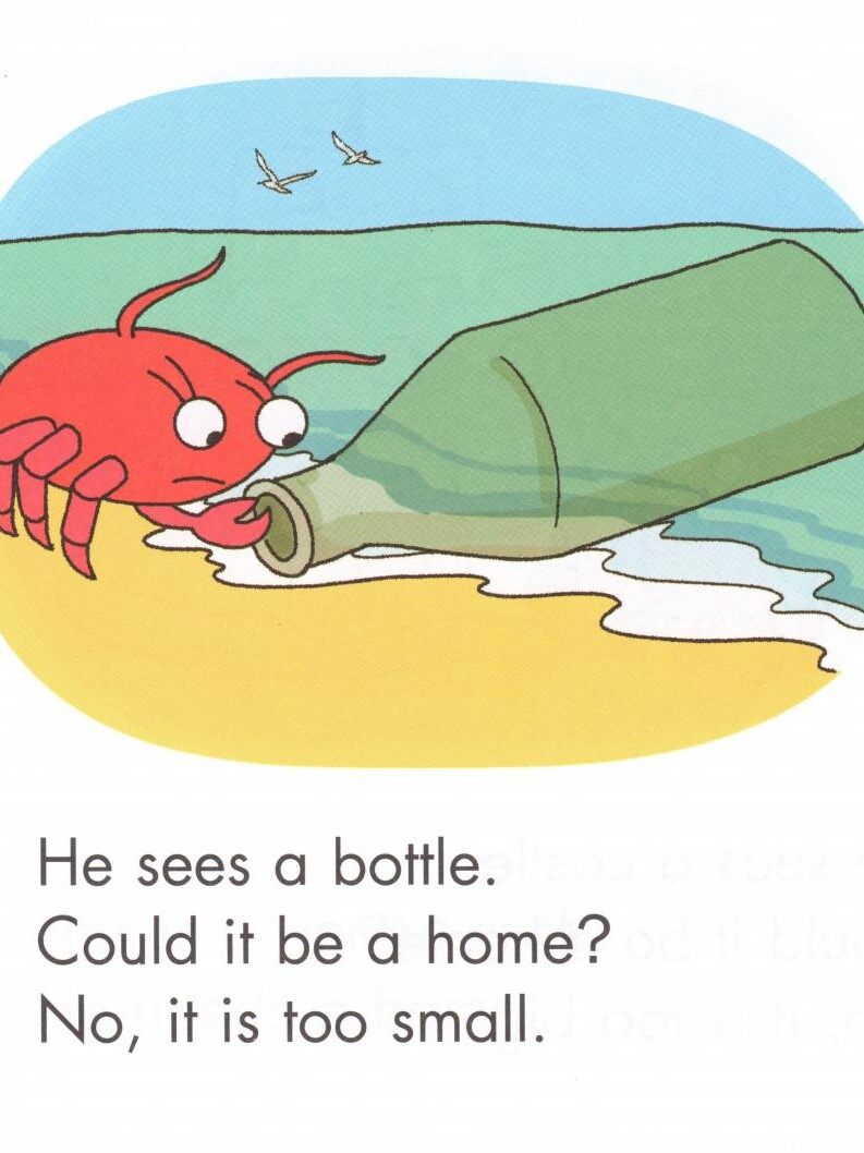 Hermit Crab's Home绘本故事第4页