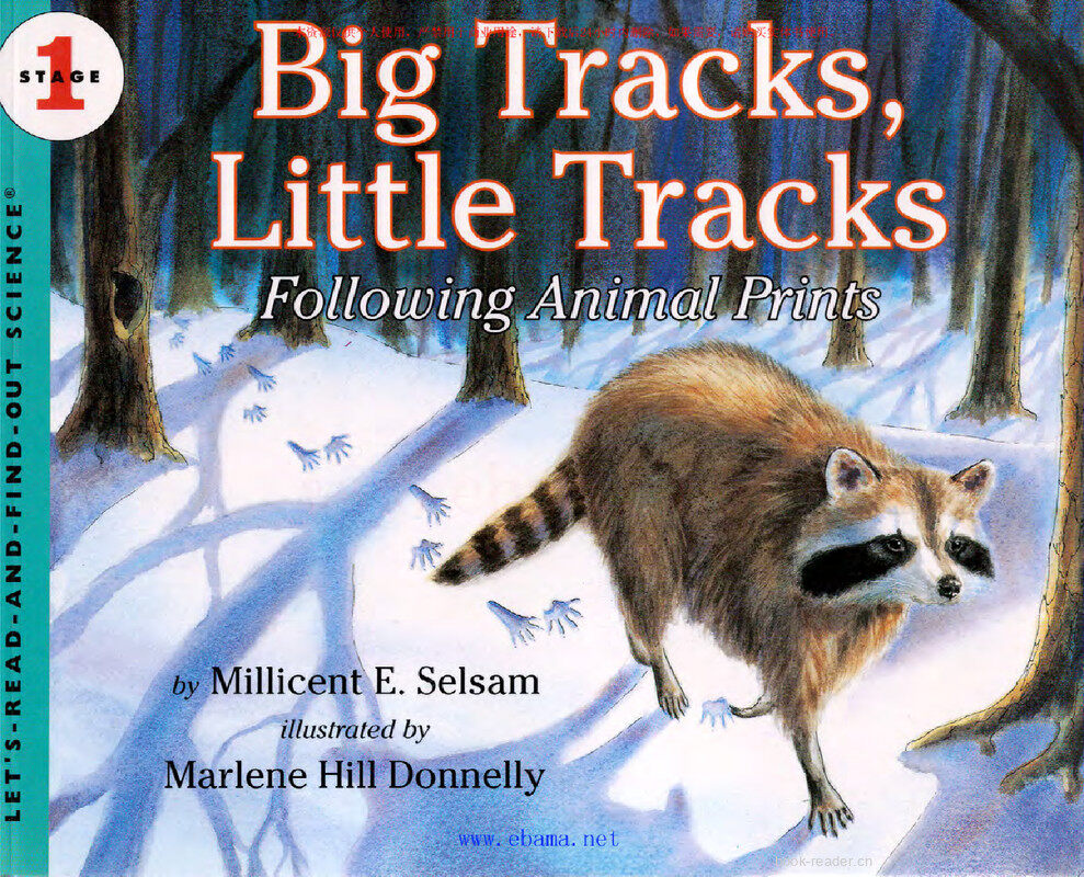 Big Tracks,Little Tracks绘本故事第2页