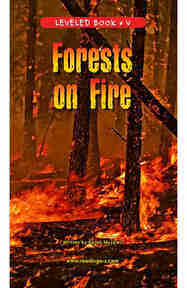 Forests on Fire
