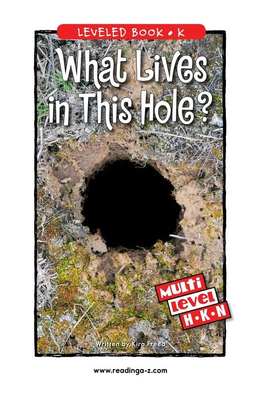 What Lives in This Hole绘本故事第2页