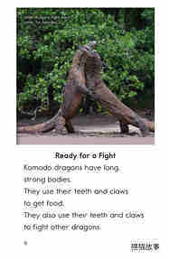 Komodo Dragons Giant Reptiles绘本故事第5页
