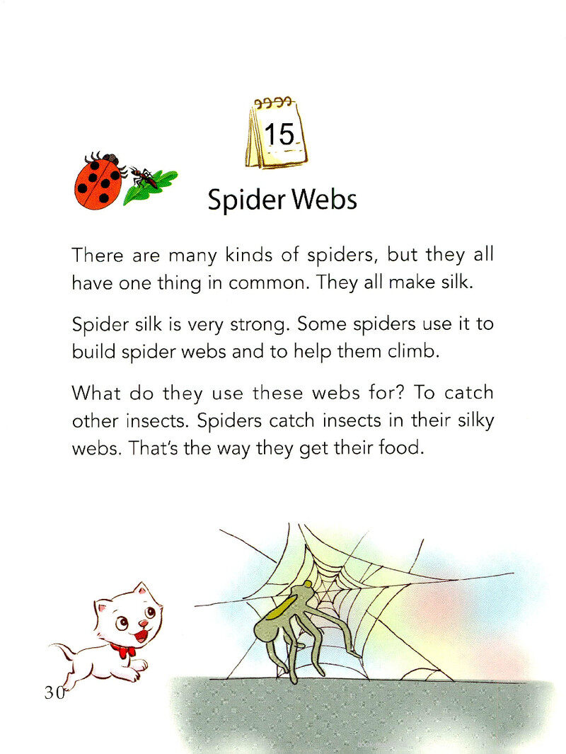 Spider Webs绘本故事第2页