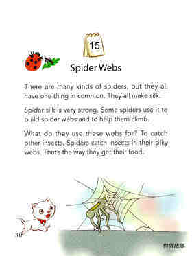 Spider Webs绘本故事第2页