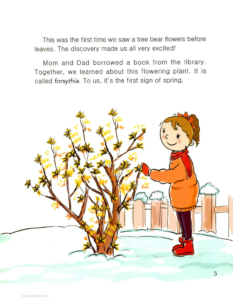 First Flower in Spring绘本故事第4页