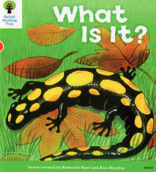 What is it?