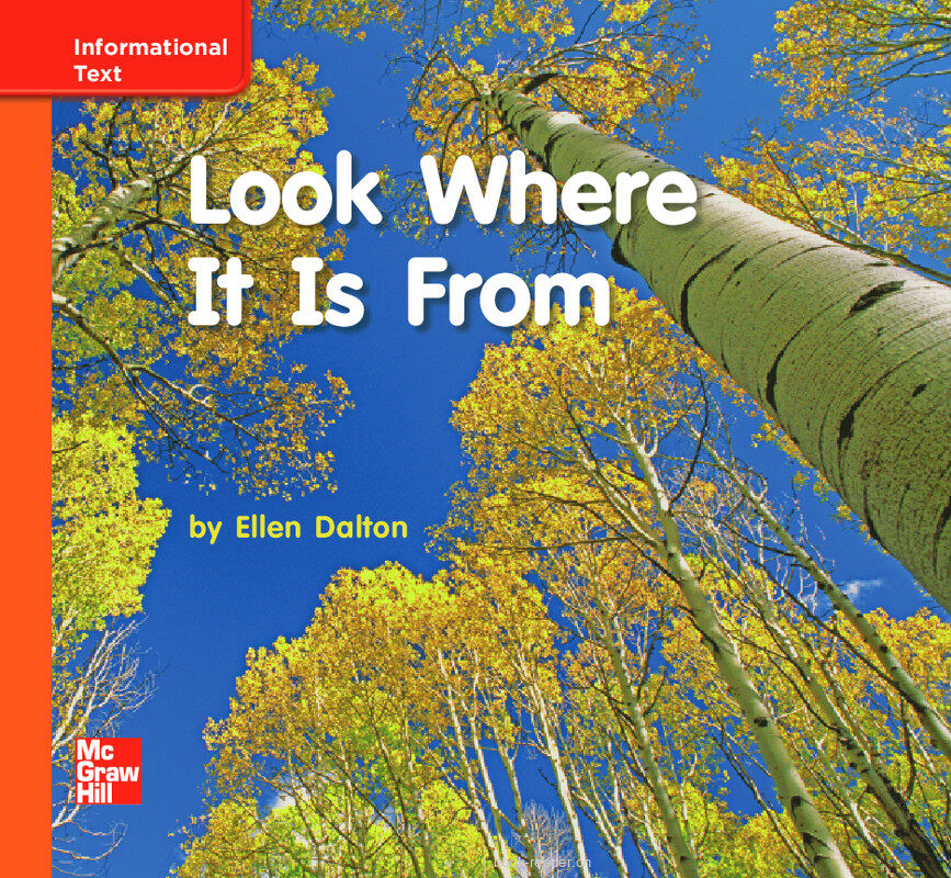 GK Approach U09W3 Look Where It Is From绘本故事第2页