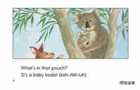 What's In That Pouch绘本故事第4页