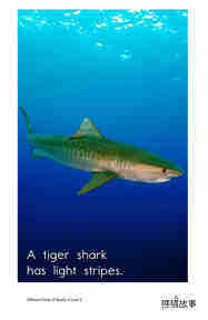 Different Kinds of Sharks绘本故事第5页