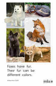 All About Foxes绘本故事第5页
