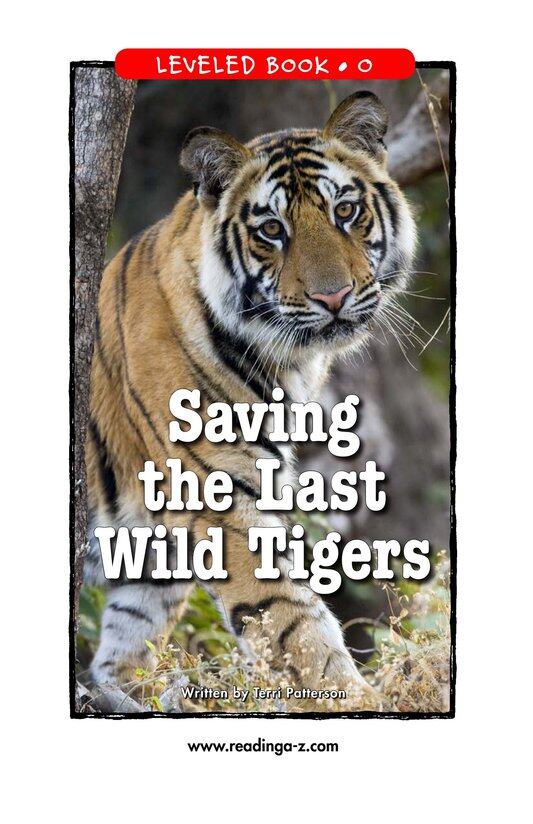 Saving the Last Wild Tigers绘本故事第2页