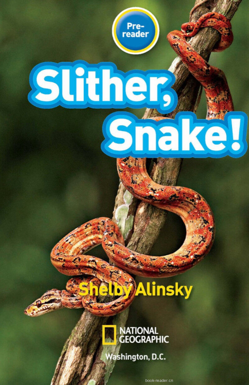Slither Snake绘本故事第2页