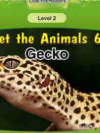 Gecko