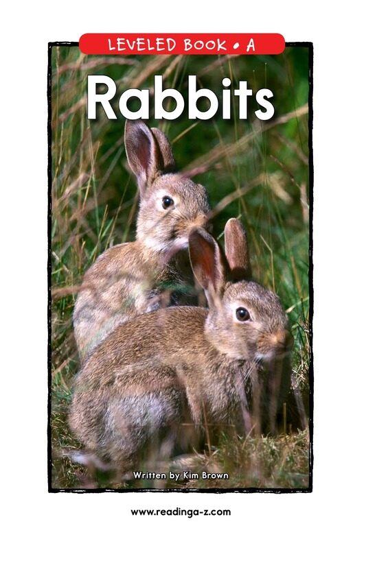 Rabbits绘本故事第2页