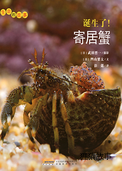 诞生了！寄居蟹