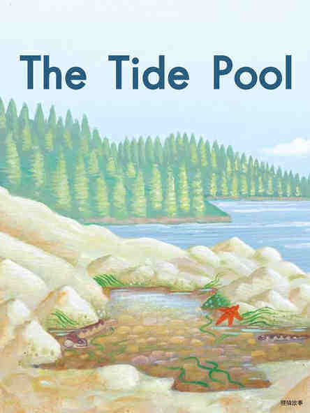 The Tide Pool