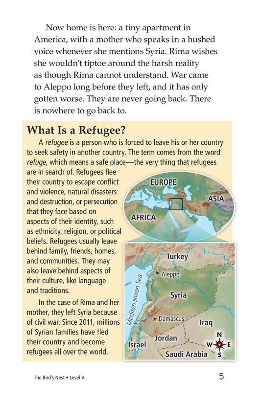 The Bird's Nest绘本故事第5页
