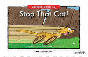 Stop That Cat!