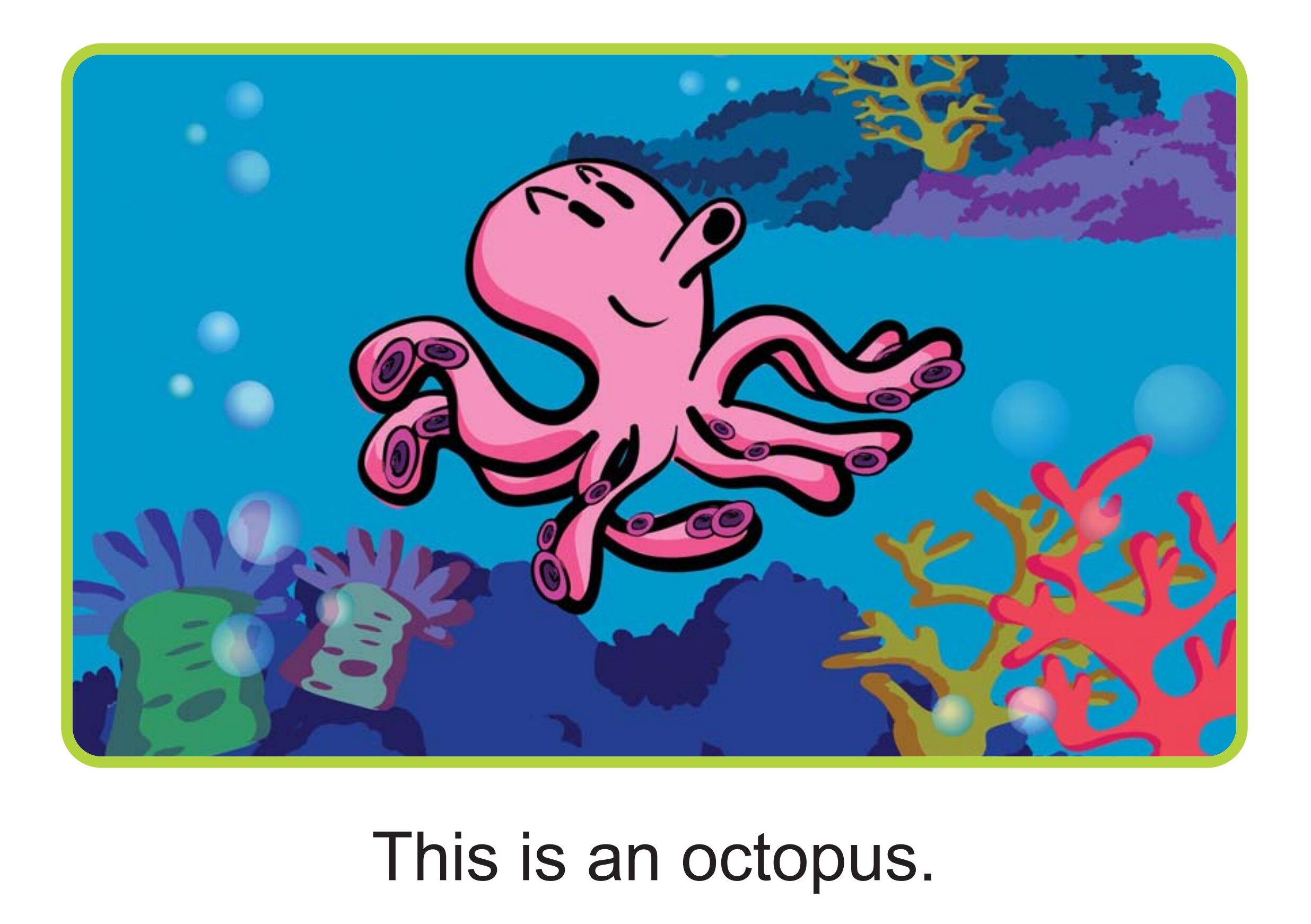 What Is in the Sea绘本故事第2页