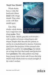 Whale Sharks Giant Fish绘本故事第4页