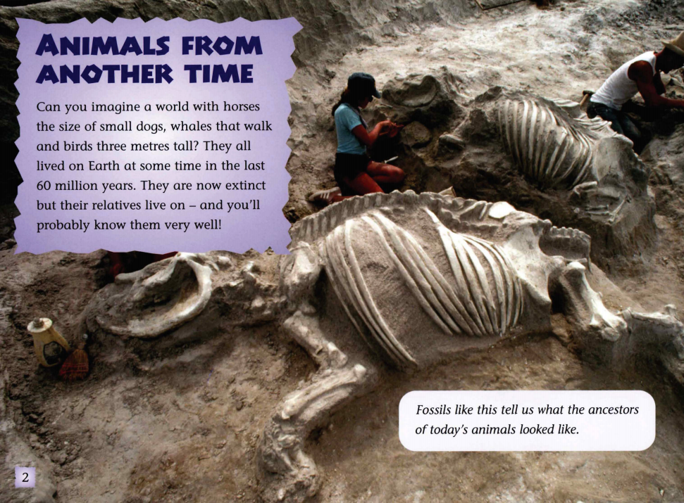 ANIMAL ANCESTORS绘本故事第3页