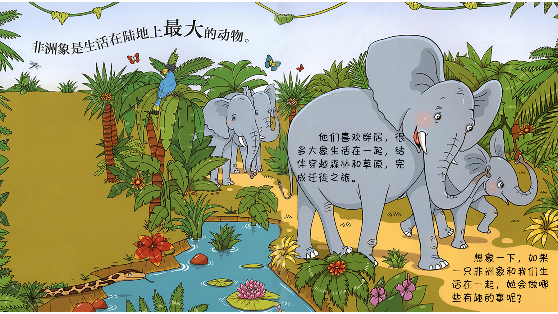 大象会跳芭蕾舞吗？绘本故事第3页