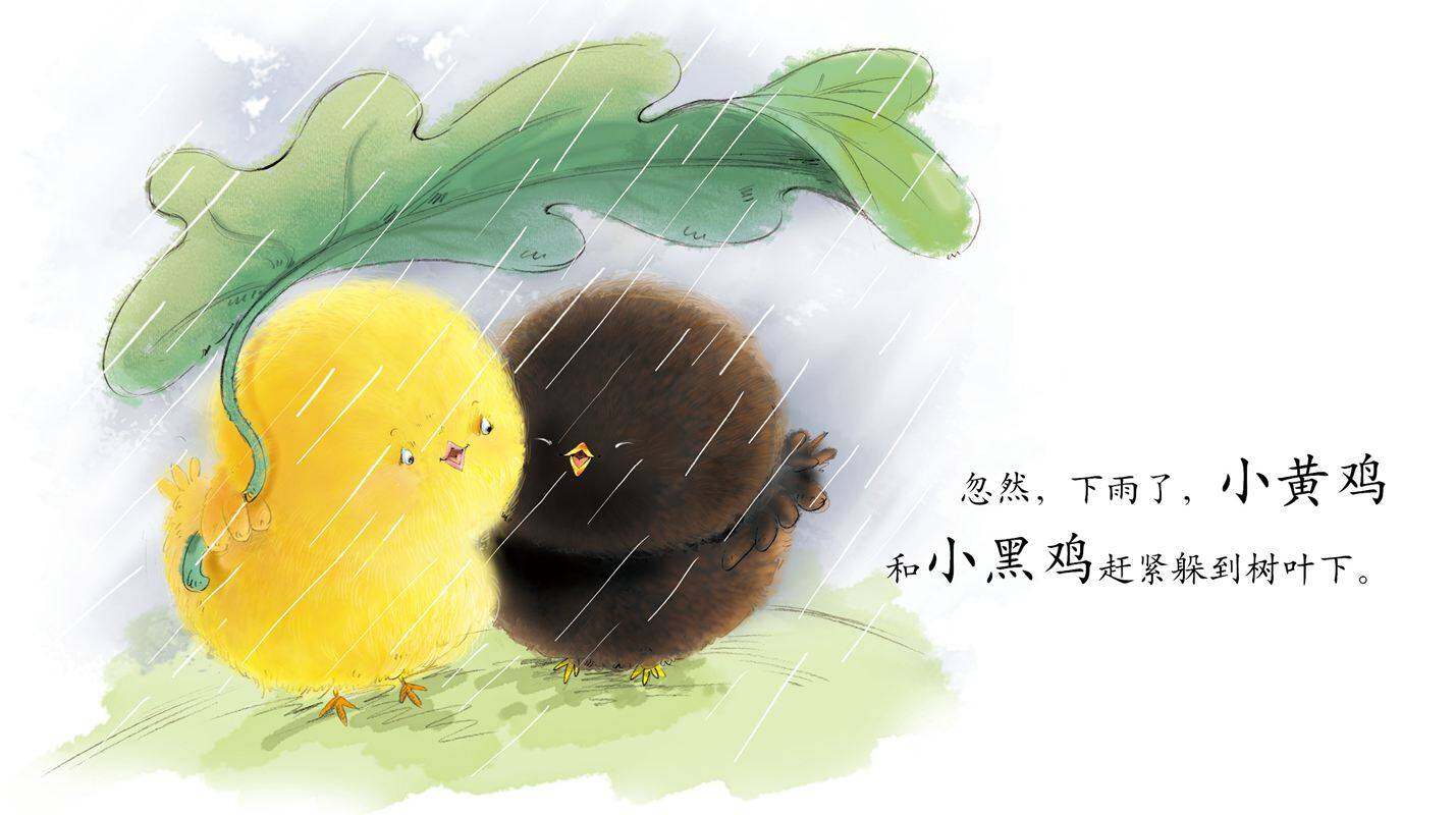 早期阅读系列——小黄鸡和小黑鸡绘本故事第4页